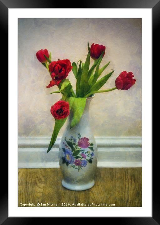 Tulip Love Framed Mounted Print by Ian Mitchell