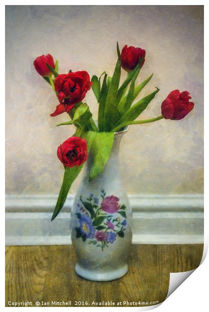 Tulip Love Print by Ian Mitchell