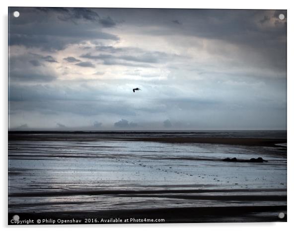 Stormbird Acrylic by Philip Openshaw