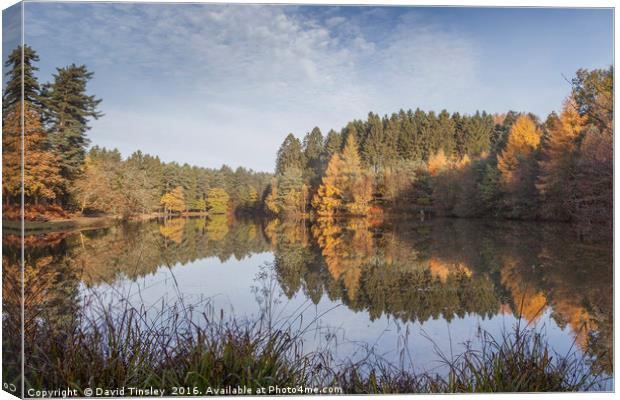     Autumn Reflected - 7 Canvas Print by David Tinsley