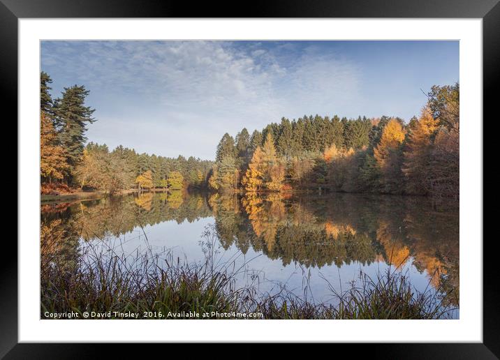     Autumn Reflected - 7 Framed Mounted Print by David Tinsley