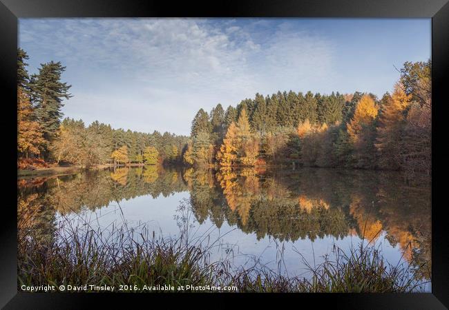     Autumn Reflected - 7 Framed Print by David Tinsley