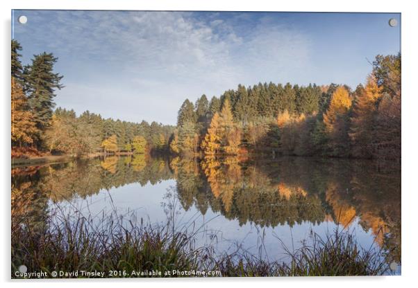     Autumn Reflected - 7 Acrylic by David Tinsley