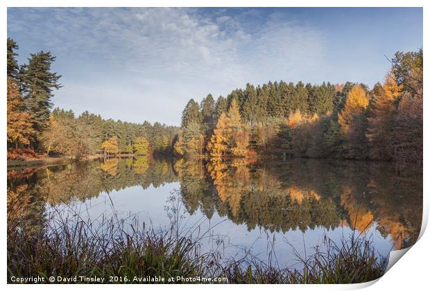    Autumn Reflected - 7 Print by David Tinsley