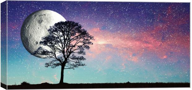 milky way, stars, moon and tree Canvas Print by Guido Parmiggiani