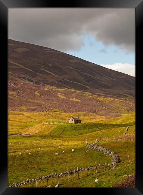 Isolated Cottage Framed Print by Chris Thaxter