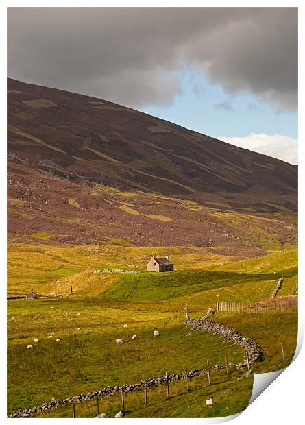 Isolated Cottage Print by Chris Thaxter