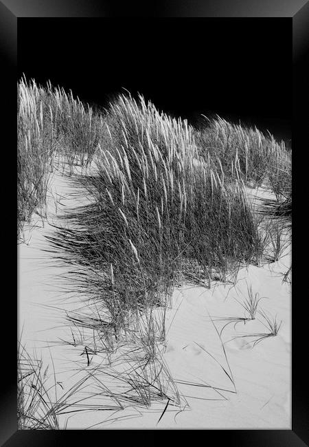Sand dunes Framed Print by Andrew Richards