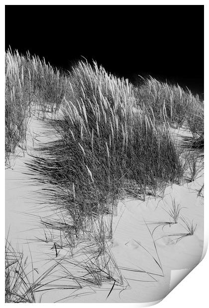 Sand dunes Print by Andrew Richards