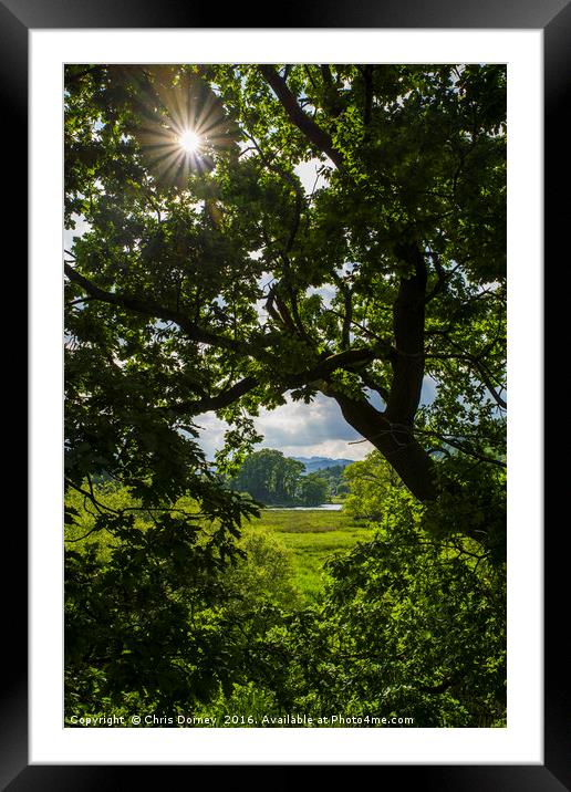Countryside View in Ambleside Framed Mounted Print by Chris Dorney