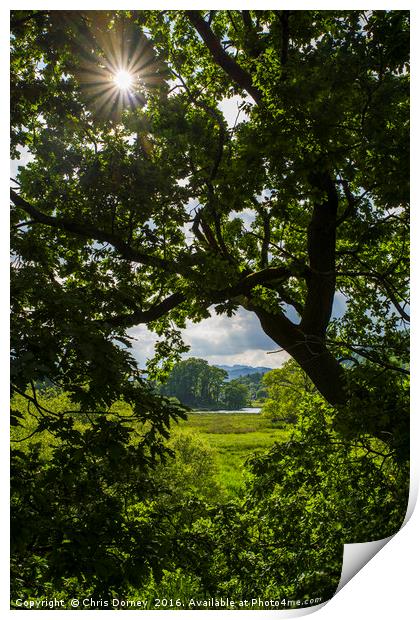 Countryside View in Ambleside Print by Chris Dorney