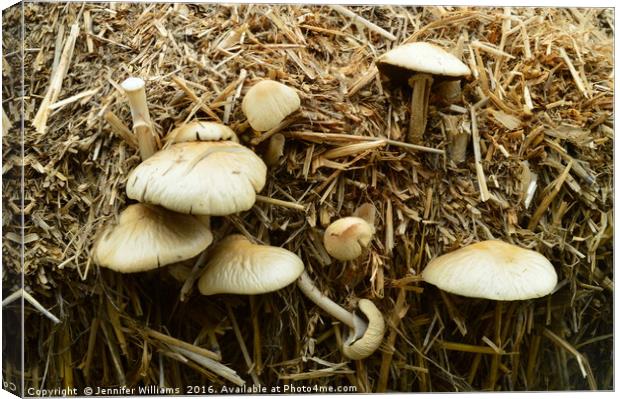 WILD MUSHROOMS Canvas Print by Jennifer Williams