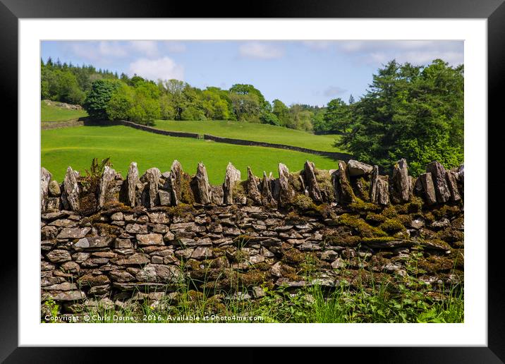 Countryside View in Cumbria Framed Mounted Print by Chris Dorney
