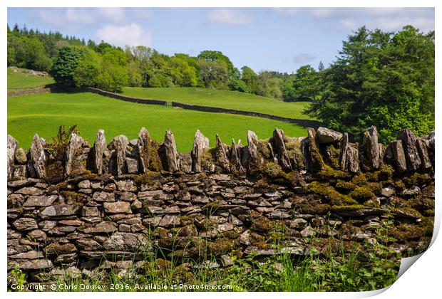 Countryside View in Cumbria Print by Chris Dorney