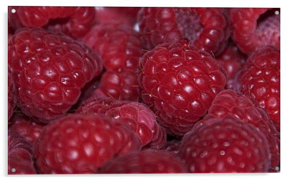 Raspberry cluster Acrylic by Elaine Young