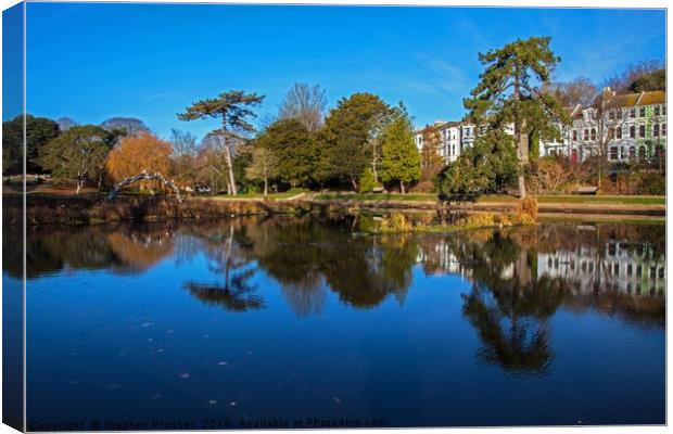 Beauty in the park Canvas Print by Stephen Prosser