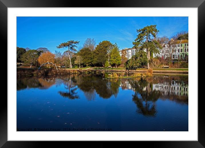 Beauty in the park Framed Mounted Print by Stephen Prosser
