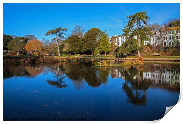 Beauty in the park Print by Stephen Prosser