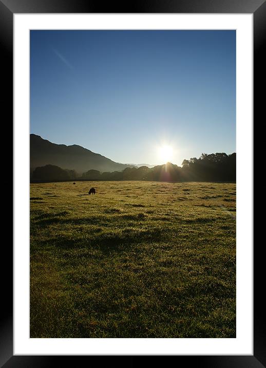 Daybreak in The Lakes Framed Mounted Print by Nikki Mc