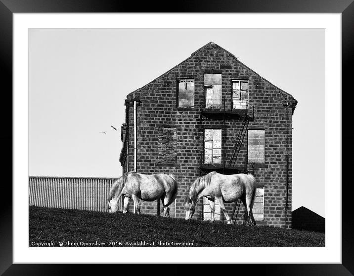 Milltown Horses Framed Mounted Print by Philip Openshaw