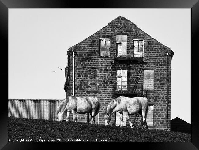 Milltown Horses Framed Print by Philip Openshaw