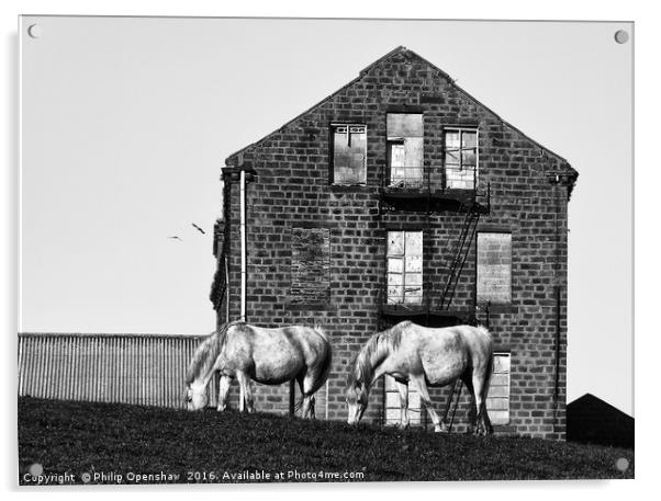 Milltown Horses Acrylic by Philip Openshaw