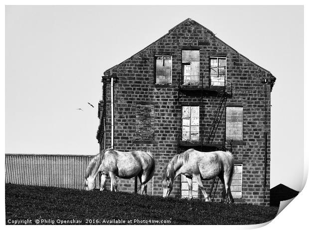 Milltown Horses Print by Philip Openshaw