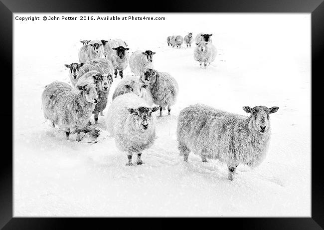 Blizzard in Wharfedale Framed Print by John Potter