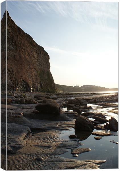 Saltburn Late Summer Canvas Print by Nikki Mc