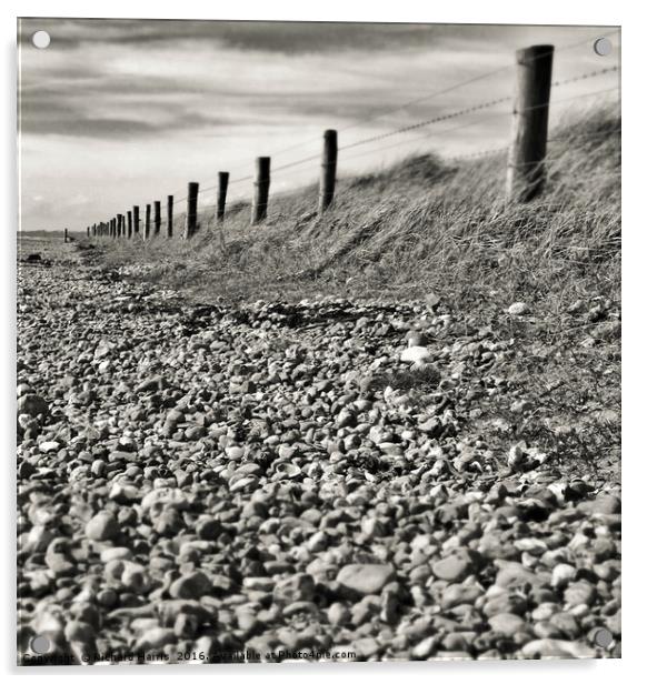 Shingle footpath, West Beach, Littlehampton, Susse Acrylic by Richard Harris