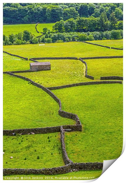 Dales Barn Gunnerside in Swaledale Yorkshire Dales Print by Nick Jenkins