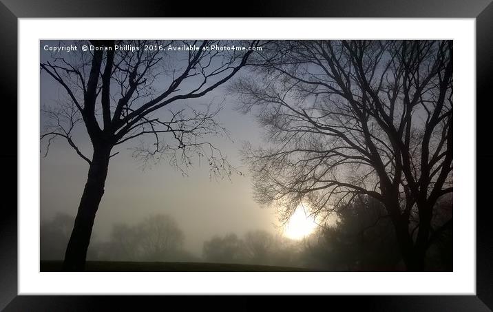 WOODLAND SUNRISE  Framed Mounted Print by Dorian Phillips