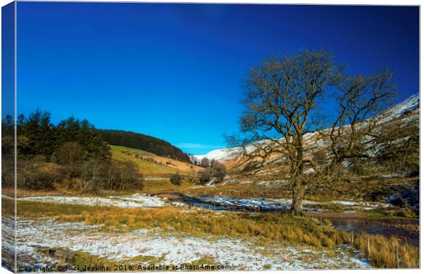 Nant Crew Brecon Beacons south Wales in winter Canvas Print by Nick Jenkins