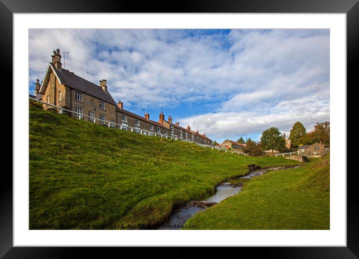 Pretty in green Framed Mounted Print by Stephen Prosser