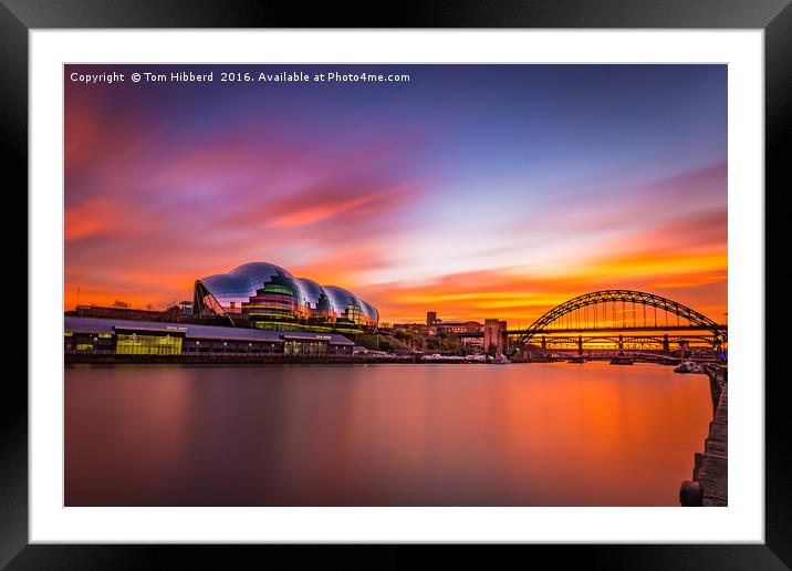 Sage and Tyne sunset Framed Mounted Print by Tom Hibberd