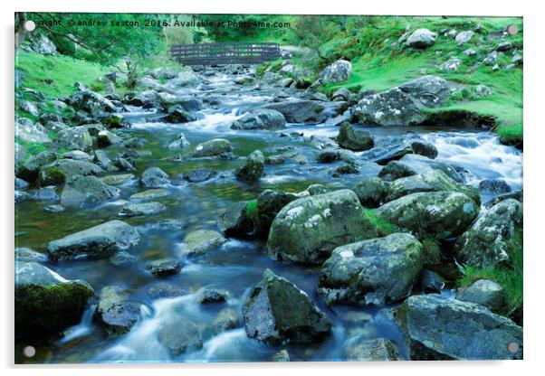 STEPPING STONES Acrylic by andrew saxton