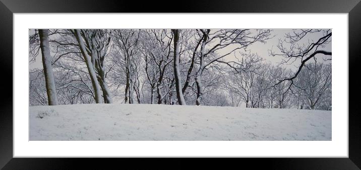 Winter Trees Framed Mounted Print by Victor Burnside