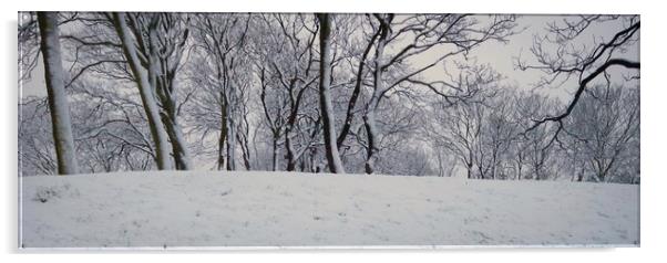 Winter Trees Acrylic by Victor Burnside