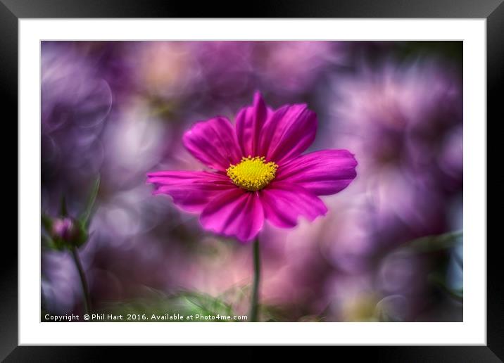 Images from a cosmic garden no.2 Framed Mounted Print by Phil Hart