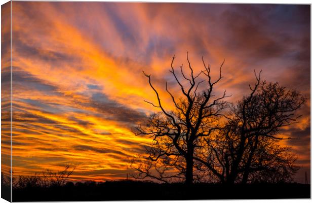Fire Sunset Canvas Print by Steve Lansdell