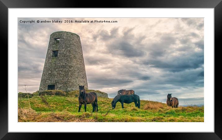 Exmoor Ponies at Cleadon Mill Framed Mounted Print by andrew blakey