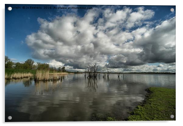 cloudy wetlands Acrylic by Jo Beerens