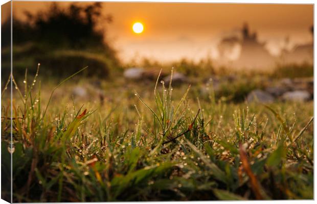 Sunrise on the field Canvas Print by Pham Do Tuan Linh