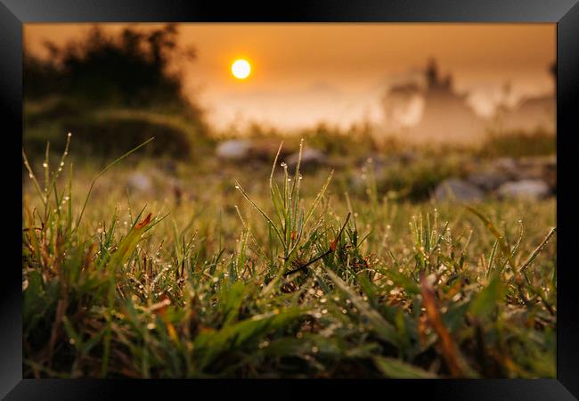 Sunrise on the field Framed Print by Pham Do Tuan Linh