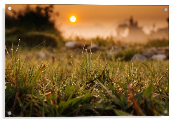 Sunrise on the field Acrylic by Pham Do Tuan Linh