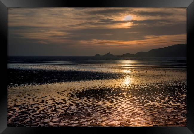 Early morning view of Mumbles. Framed Print by Bryn Morgan
