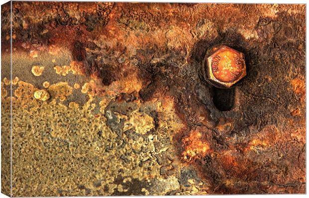 Rust Canvas Print by Martin Williams