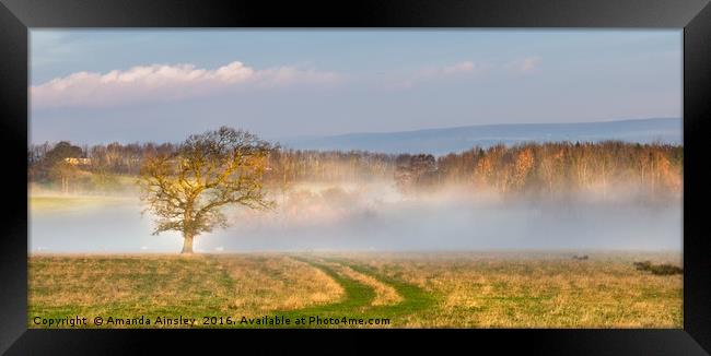Misty Morning in Teesdale Framed Print by AMANDA AINSLEY