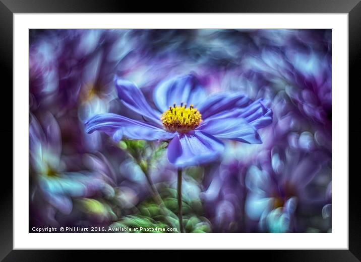 Images from a cosmic garden No3 Framed Mounted Print by Phil Hart