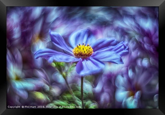 Images from a cosmic garden No3 Framed Print by Phil Hart